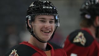 Where Are Arizona Coyotes Prospects Playing This Season [upl. by Ailla778]