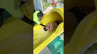 Fun at the 🥱😲💦water park running trampoline Assument waterpark viralvideo youtubeshorts shorts [upl. by Otrevogir672]