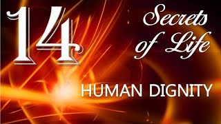 Spiritual Dignity of Man The Creator explains ❤️ Secrets of Life thru Gottfried Mayerhofer [upl. by Eelah]