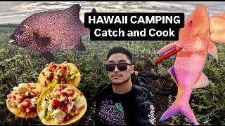 Epic camping adventure Fishing and diving for our next meal  CATCH COOK CREATE [upl. by Wendye]