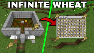 Automated wheat farm in Minecraft simple and efficient [upl. by Walton]