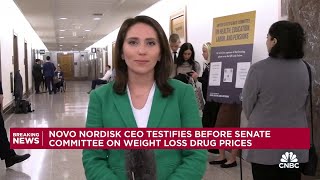 Novo Nordisk CEO testifies before Senate on weight loss drug prices [upl. by Alboran531]