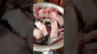 Fresh cat fish 🐟 shorts viral fish fresh cooking [upl. by Fernanda]