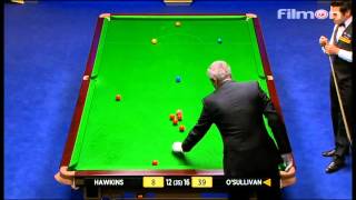 Ronnie OSullivan vs Barry Hawkins  WSC 2013 Final  Last session [upl. by Elokkin]