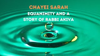 Chayei Sarah  Equanimity [upl. by Ahtekahs]