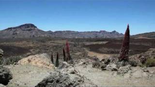 Teneriffa  Von der Nordküste zum Dach der Insel [upl. by Etnomaj]