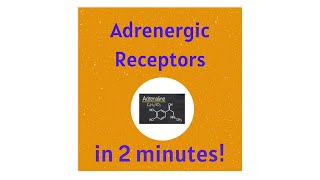 Adrenergic adrenaline noradrenaline Receptors in under 2 mins [upl. by Saffren]