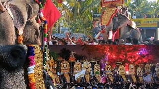 ആയിരംകണ്ണി പൂരം 2024  Aayiramkanni Pooram 2024 [upl. by Beal427]