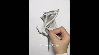 Beginners Guide to Shading with Graphite and Charcoal Draw a Rose Easy Art amp Drawing Step by Step [upl. by Alf]