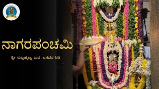 Nagara Panchami  Shree Subrahmanya Matha  Basavanagudi [upl. by Arvind]