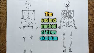 How to draw human skeleton step by step very easy method [upl. by Nimrac]