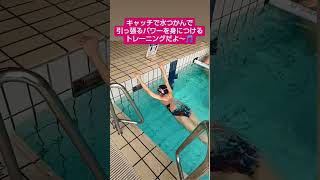 【水泳】ストローク前半部分強化の為のトレーニング [upl. by Petracca]