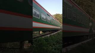 5 in 1 Padma Borendro Tungipara commuter Silkcity express train [upl. by Eiramanin739]