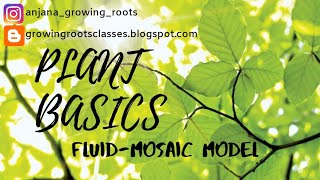 Fluid Mosaic Model  Plasma Membrane  Detailed Explanation In Malayalm  BSc Botany  Zoology [upl. by Medarda649]