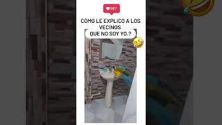 Este Pequeño Loro Lo Hace de Nuevo  😂 shorts humor [upl. by Spearman342]