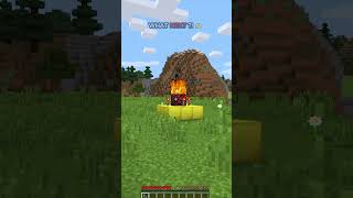 BRO REALLY  ☠👀😂 minecraft minecraftjokes memes minecraftmemes gaming shortsfeed [upl. by Phillipe174]