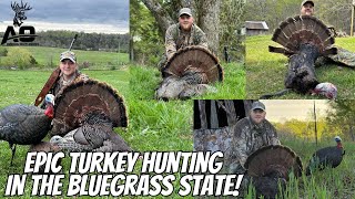 Epic Turkey Hunting in Kentucky The BLUEGRASS STATE [upl. by Mikkanen422]