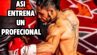 Boxeador muestra su entrenamiento de boxeo completo  J Miguel Borrego [upl. by Berget]