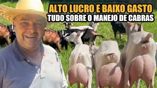 ELA DA LEITE IGUAL VACA  RAÇA DA ATÉ 13L DIA [upl. by Lovash]