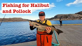 Fishing for Halibut and Pollock [upl. by Airdnoed432]