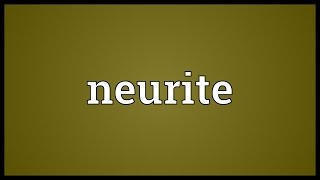 Neurite Meaning [upl. by Nika186]