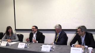 Telecom Exchange CEO panel on data center dynamics [upl. by Fredrika]