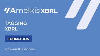 Formation Tagging XBRL [upl. by Abihsat59]