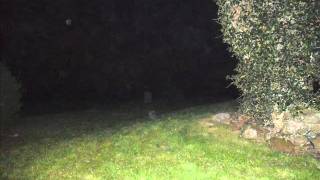 portmore cemtery lisburn orbs [upl. by Ulises690]