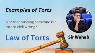 Example of Torts  Whether pushing someone is a tort  Law of Torts [upl. by Ynnep]