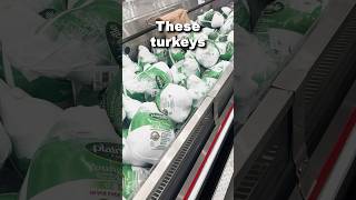 Costcos turkeys are finally here [upl. by Clement]