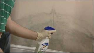 How to remove mould from walls and ceilings [upl. by Akel]