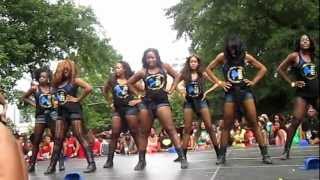 Sigma Gamma Rho Atlanta Greek Picnic 2012 [upl. by Othilia572]