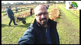 The Pumpkin Patch Dunham Massey Altrincham Manchester UK [upl. by Pennie]