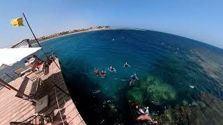 Royal Brayka resort Marsa Alam [upl. by Knepper]