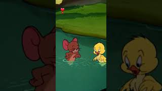 Swimming lessons for little star helper children with tomandjerry shortvideo [upl. by Uy]