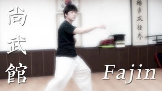 Chen Taichi Fajin basics explained [upl. by Bellaude]