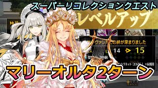 【FGO】絆15マリーオルタでエウロペ2ターン撃破 [upl. by Romney]