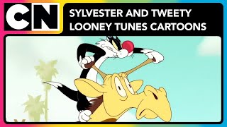 Sylvester and Tweety  Looney Tunes Cartoons  Cartoon Network Asia [upl. by Brigitte]