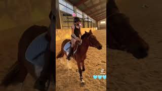 A wy miwluscie kiedys trening ujeżdżeniowy😍 horse hobbyhorse equestrian dc konie funny pony [upl. by Rozele]