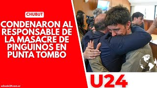 Chubut Condenaron al responsable de la masacre de pingüinos de Magallanes en Punta Tombo [upl. by Ynattir898]