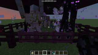 Minecraft 1212RC2 Iron Golem vs Endermites vs Enderman [upl. by Chenee]