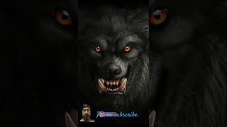 wolf wolfsong lion werewolf dog wolfsounds [upl. by Malvina]