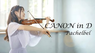 Canon in D Pachelbel AYAKO ISHIKAWA パッヘルベルのカノン 石川綾子 [upl. by Selwyn]