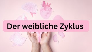 Der weibliche Zyklus  kurz erklärt [upl. by Ulphiah559]