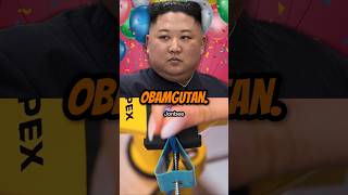 Obamnas Birthday Party 🎂🥳 Sound PthePresident shorts funny [upl. by Enylekcaj]