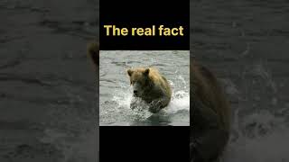 Facts fun facts  interesting facts  life saving facts  facts r us  factsshortstrendingshorts [upl. by Josiah]