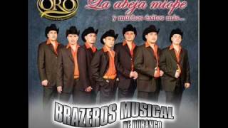 Brazeros Musical  La Abeja Miope [upl. by Barta]