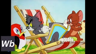 Tom amp Jerry  Jerry and the Baby Woodpecker  Classic Cartoon  Wbkidscartoonsbn3ix [upl. by Merridie]