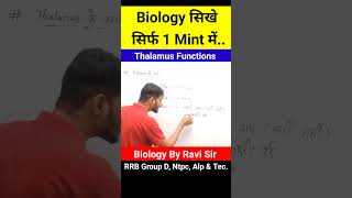 Parts Of Brain  Thalamus Function  Biology GK  Biology By Ravi Sir biology shorts yt gk [upl. by Etiuqal852]