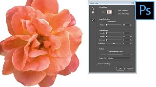 Photoshop CC  Restore the Refine Edge Tool [upl. by Tecla]